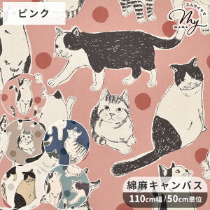 Ȗ LoX n Big L  ˂ lR cat  Aj} hbg  ݃J[ 啿   킢 菑  Rbg  l z obO |[`  CeA Gv