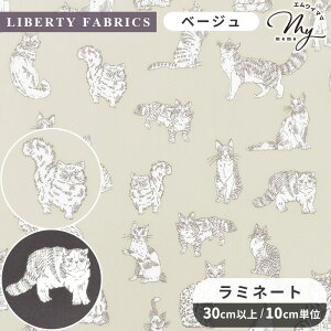 y撅150~OFFN[|zoeBvg Y  ~l[g ~IE  LIBERTY FABRICS oeBEt@ubNX n z rj[R[eBO 2025 Eternal Collection 32576 z L ˂ l