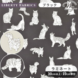 oeBvg Y  ~l[g ~IE  LIBERTY FABRICS oeBEt@ubNX n z rj[R[eBO 2025 Eternal Collection 32576 z L ˂ lR  Aj} nh