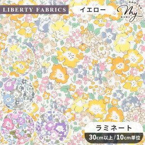 リバティプリント 国産 つや消し ラミネート ミシェル ■ LIBERTY FABRICS リバティ・ファブリックス 生地 布 ビニールコーティング 3636017 花柄 小花 フラワー ハンドメイド 手芸 手作り ■
