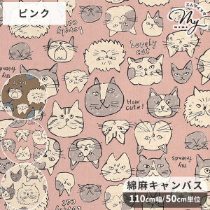 Ȗ LoX n L tFCX   KOKKA RbJ Doole Animal Cats face ˂ lR  Aj} 菑 z  Rbg  l Y { 킢   s[X nh