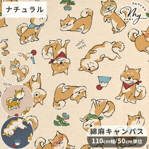 Ȗ LoX n 菑 Č  KOKKA RbJ Doole Animal Shiba JAPAN  ς   Ck a a 菑 xmR ~ z  Rbg  l Y { 킢  
