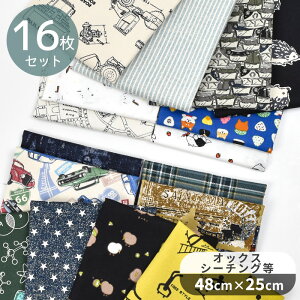 JWA ͂ Zbg 48×25cm 16 Zbg  j̎q {[C LbY   Aj}   `FbN fj S X^[  A\[g  nM JbgNX  z n 