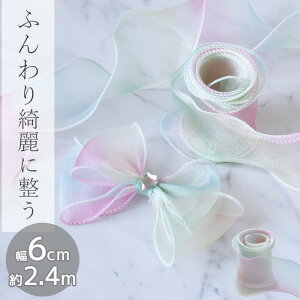 C[  Of[V I[KW[ {  60mm  Ȃ Ȃ 2.4m S2F  iC   eOX ANZT[ bsO e[v     wA ANZ