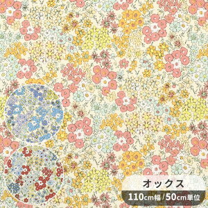 IbNX n XEB[g t[  KOKKA A girl's dream h[ K[ ԕ   |[` obO Gv NbVJo[ z  w RbJ nhCh |  djh23 