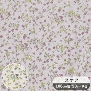 XPA n @CIbg  ԕ t[   ݂ X~  i` R SEVENBERRY mX^WARNV ȃJX 100  Rbg |[` В  obO Gv Nb