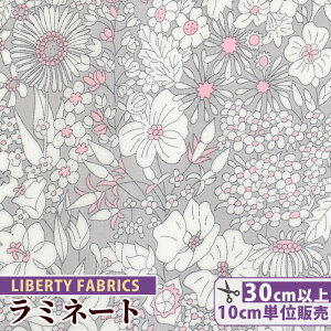 yő700~OFFN[|zoeBvg Y  ~l[g pgbNES[h  LIBERTY FABRICS oeBEt@ubNX n z rj[R[eBO 3801160 ԕ  t