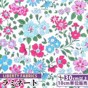 yő700~OFFN[|zoeBvg Y  ~l[g Aix  LIBERTY FABRICS oeBEt@ubNX n z rj[R[eBO 36300126 ԕ  t[ nh