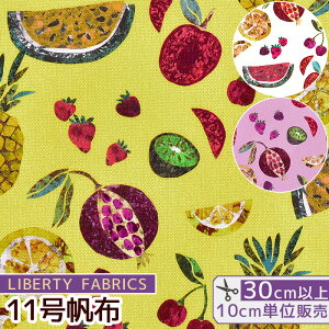 yő800~OFFN[|zoeBvg 11z sGgEf 2022 SS  LIBERTY FABRICS oeBEt@ubNX 3631215 n z nv z ʕ gsJ t[c nhCh 