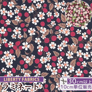 リバティプリント 国産 つや消し ラミネート カレンズ・チョイス 22AW ザ・ハウス・オブ・リバティ ■ LIBERTY FABRICS リバティ・ファブリックス 生地 布 ビニールコーティング 2022 AW THE HOUSE OF LI