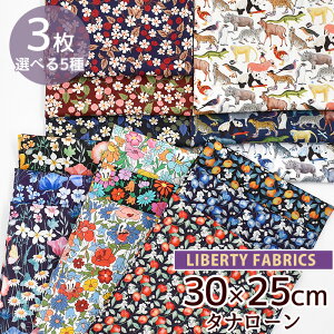 oeBvg ^i[ 2022 AW UEnEXEIuEoeB JbgNX 30×25cm 3 Zbg S5  Y LIBERTY FABRICS oeBEt@ubNX 60[ J[ nM  