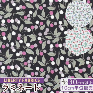 oeBvg ʒ Y  ~l[g `F[Ehbv  LIBERTY FABRICS oeBEt@ubNX n z rjR rj[R[eBO 36302124 ԕ  `F[ n