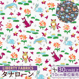 yő700~OFFN[|zoeBvg Y ^i[ IXJ[ 2023 SS Neon Liberty  LIBERTY FABRICS oeBEt@ubNX lI 3339255 n z ԕ t[  Aj} nhC