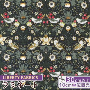 yő700~OFFN[|zoeBvg Y  ~l[g Xgx[EV[t  LIBERTY FABRICS oeBEt@ubNX n z rj[R[eBO 3635061 ԕ t[  