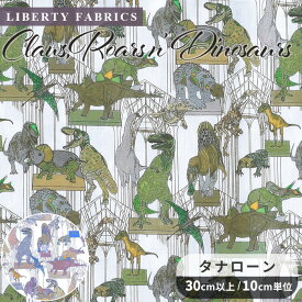 リバティプリント 輸入 イタリア製 タナローン クラウス・ロアーズ・アンド・ダイナソーズ 2024 SS Wildsmith's Wonderful World ■ LIBERTY FABRICS リバティ・ファブリックス ワイルドスミスズ・ワンダフル・ワールド 363J4208 生地 布 恐竜 ハンドメイド ■