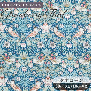 yʌzoeBvg Y ^i[ Xgx[EV[t s[RbNu[  LIBERTY FABRICS oeBEt@ubNX 2022 G^[iRNV 3635061 n z ԕ t[