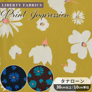 oeBvg n A C^A ^i[ vgECvbV 2024 AW THE CURATED FLORAL  LIBERTY FABRICS oeBEt@ubNX UELCebhEt[ 3634246 z 