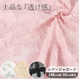 yő1,000~OFFN[|zVA[ n tW WK[h D Ђ L 148cm  ԕ  z   |GXe VA[f  ̊  Vc uEX XJ[g `