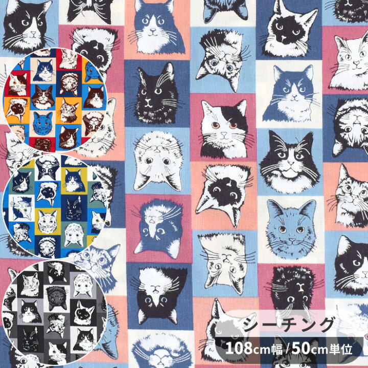 カラフルポップキャット (オックス) 【ネイビー】