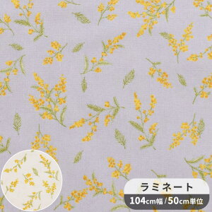 momen-t [g  ~l[g n K  ~U  ԕ t[ {^jJ i` z   Rbg l LoX rj[R[eBO rjR ~l[gH |