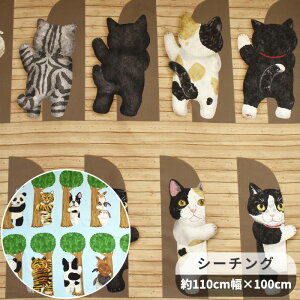 V[`O n z[fR Ђ 110×100cm JbgNX  KOKKA HOME DECO hyokkori RbJ pl L ˂   p_ g  Aj} obO NbV |[` G   