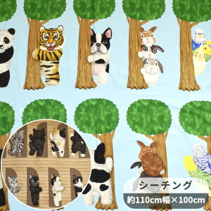 V[`O n z[fR Ђ 110×100cm JbgNX  KOKKA HOME DECO hyokkori RbJ pl L ˂   p_ g  Aj} obO NbV |[` G   