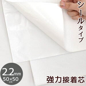 yʌz nCNIeB  tFg V[ ڒ V[g 2.2mm 50cm×50cm  Lg V[^Cv ͐ڒ sDz   ڒc U[  v ~l[g obO ΂   