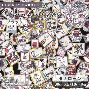 oeBvg Y ^i[ X^vERNV 2025 SS PEANUTS(TM) Collection  LIBERTY FABRICS oeBEt@ubNX s[ibc RNV 33935 n z SNOOPY(TM) Xk[s[ `
