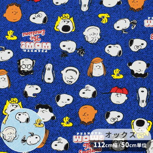 IbNX n s[ibc SNOOPY tY tFCX   KOKKA PEANUTS Xk[s[ LN^[ j̎q ̎q Rbg  z vg Y  w В  obO Gv NbV 