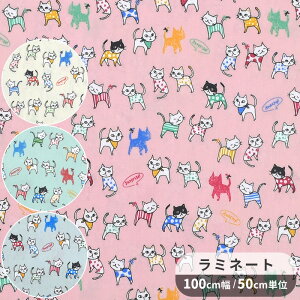  ~l[g n Jt ɂ  L lR ˂ cat Aj}  XgCv {[_[  hbg  X^[ TC u[h rj[R[eBO ~l[gH rjR |[` 