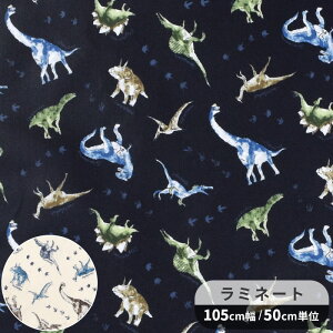  ~l[g n EH[^[ u[    KOKKA RbJ _Ci\[  eBmTEX WVbN  V[`O rj[R[eBO ~l[gH rjR 