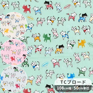 TC u[h ȃ| n Jt ɂ  L lR ˂ cat Aj}  XgCv {[_[  hbg  X^[ z  |GXe Y { G obN |[`  CeA 