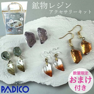 pWR PADICO zW ANZT[Lbg 403412 z  UV LED W Zbg z  ANZT[ z̎ ^tNg [h VR^ F ݃J[ ΂̎ 
