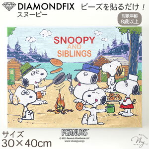 ダイヤモンドアート スヌーピー アートパネル キット 30×40cm 宅配送料無料 ■ PEANUTS SNOOPY キャラクター ダイヤモンドフィックス ダイヤモンド アート パネル ビーズ メイキングトイ 知育 東