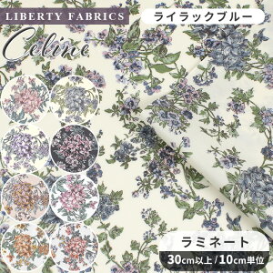 yő700~OFFN[|zoeBvg  ~l[g n ʒ Y 95%ɏk Z[k  LIBERTY FABRICS oeBEt@ubNX celine  z ԕ t[ rj[R[e