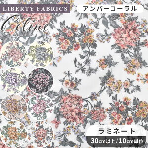 yő700~OFFN[|zoeBvg  ~l[g n ʒ Y 95%ɏk Z[k  LIBERTY FABRICS oeBEt@ubNX celine  z ԕ t[ rj[R[e