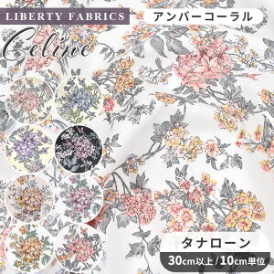 yő700~OFFN[|zoeBvg ʒ Y ^i[ n 95ɏk Z[k  LIBERTY FABRICS oeBEt@ubNX celine  z ԕ t[ nhCh | 
