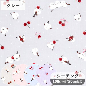 y12/10 P5200~OFFN[|zV[`O n V}GiK &    Ƃ TN{ `F[  Aj}  Y z  100% Rbg  w obO |[`  Gv 