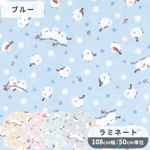 yő700~OFFN[|z ~l[g n Ⴞ & V}GiK   Ƃ hbg   Aj}   Rbg rj[R[eBO ~l[gH rjR |[` ob