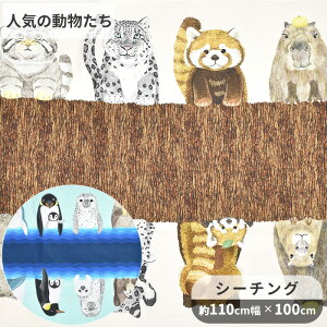 V[`O n z[fR Ђ 110×100cm JbgNX  KOKKA HOME DECO hyokkori RbJ pl L ˂ ^ ACO} Jso T yM 炵 bR  Aj} obO