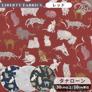 oeBvg C^A R[EAhEGCg 2025 AW Decades in Bloom ^i[ n A  LIBERTY FABRICS oeBEt@ubNX fBPCYECEu[ JvZRNV 3