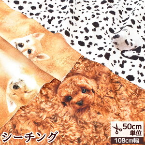 y11/1 ő1500~OFFN[|zV[`O n WHAT do you make?   hbO   Avg CNWFbg kokka RbJ  Rbg obO G CeA NbV Y z n