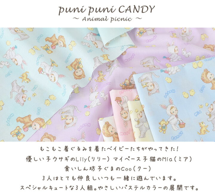 楽天市場】◇大決算セール◇ QUILT GATE キルトゲイト シーチング 生地 