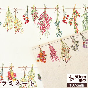 momen-t [g  ~l[g n XbO  ԕ t[ {^jJ k k rjR rj[R[eBO ~l[gH z   V[`O Rbg l s