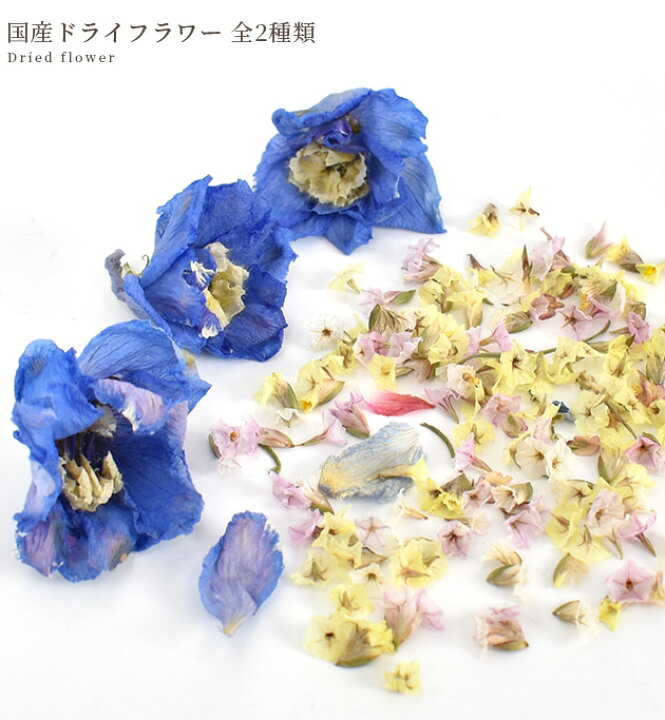 楽天市場】ドライフラワー セット 全2種類 □ 花材 花 小花 ケース付  