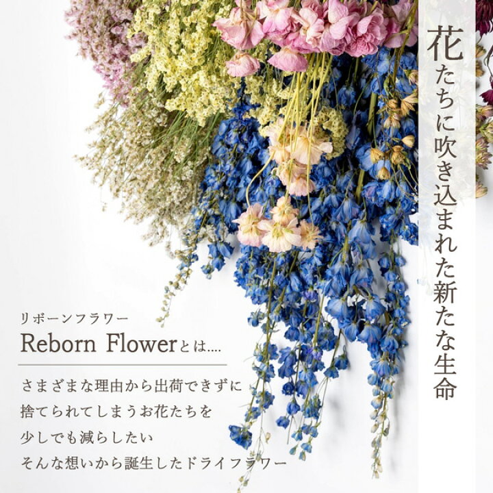 楽天市場】ドライフラワー セット 全2種類 □ 花材 花 小花 ケース付 