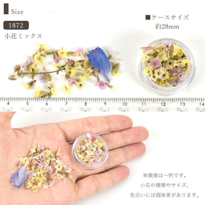 楽天市場】ドライフラワー セット 全2種類 □ 花材 花 小花 ケース付 