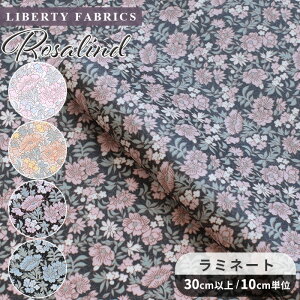 oeBvg ʒ Y  ~l[g Uh  LIBERTY FABRICS oeBEt@ubNX n Rosalind z rjR rj[R[eBO 3339013 ԕ  t[ nhCh 
