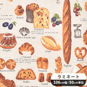  ~l[g n x[J[ Vbv  p p Hו p  킢 rjR rj[R[eBO Ȗ LoX z obO  CeA nhCh 