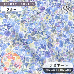 リバティプリント 国産 つや消し ラミネート 生地 クラシック・ガーデン ■ 2024 エターナルコレクション LIBERTY FABRICS リバティ・ファブリックス ビニコ ビニールコーティング 1222212 花柄 小